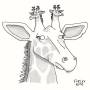 katzgiraffe.jpg
