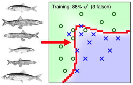 fischtrainineren.png