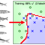 fischtrainineren.png